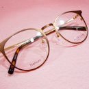 이리안경 이미지