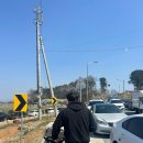 시민운동장(동) | [논산] 딸기축제 주차 및 다녀온 후기