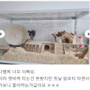 패러그린샵 동래점 이미지