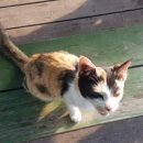 연희종합주방 이미지