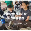온마을축제) 힐링 입욕제 만들기(11:00~12:00) | 추억이 빵 터지는 태화산마을여행 ｜ 영월 가을 동행 축제 4회차 1박2일 후기