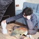 샤홍 네이버블로그