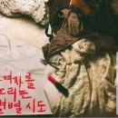 제주소요 네이버블로그