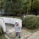 여주-1017 이미지