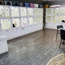 애견갤러리 강아지분양 애견샵 이미지