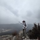 삼막사 삼귀자 | 봄 산행-관악산 삼막사 코스