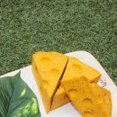 펫 치즈 클럽 이미지