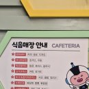 진주시어린이교통공원 실외교육장 | 마산 로봇랜드 경남 부산 진주 근교 아이와 가볼만한 곳 (오후권 구매, 음식, 놀이기구)실제 후기