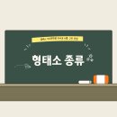 한광여자고등학교 네이버블로그