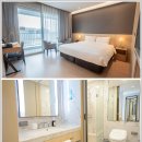 가자 펫택시 강릉점 | 강릉 세인트존스 호텔 펫룸 예약하고 근처 맛집 추천