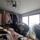 대구덕성초등학교 이미지