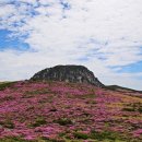 완불주유소 이미지