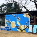 새벽 목련 | 2025 천리포수목원 목련축제｜후원회원만 즐기는 ‘비밀의 정원’ 아침 산책기
