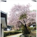 풍천사슴농장 이미지