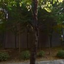 별나라어린이집 이미지