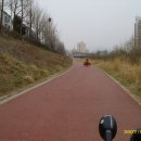 기아대교 이미지