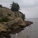 성산  매부리 이미지