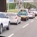 (주)애니멀공화국 이미지