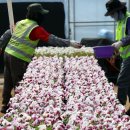 백양산 양묘장 이미지