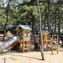 맹방비치캠핑장 이미지