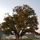 현충탑교차로 이미지