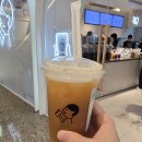 선소당 | [중국/칭다오] 과일 치즈폼 티로 유명한 헤이티 방문 후기
