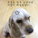 오토셀프존