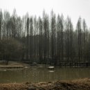 생태원길(배롱나무길) 이미지