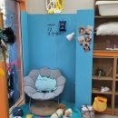 멍냥펫24 이미지