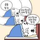 백야짐 앤 필라테스 이미지