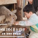 강릉 쌍둥이 동물농장 이미지