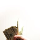 여기서지금 이미지