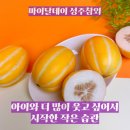 성주어린이집 | 아이와 더 많이 웃고 싶어서 시작한 작은 습관 마이달데이 성주참외
