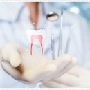 백세플란트치과의원 이미지