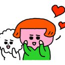 애니카랜드 평리점 이미지