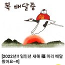 그여자가 가는곳ㅡ설 라경 노래ㅡ한해를 보내면서ㅡ시간도 뛰어가고ㅡ마음도 뛰어 가는듯 ㅡ어느덧 올해가 저물어 가고 있읍니다ㅡ건배사 모음ㅡ 이미지