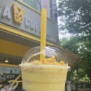 이리음료 | 메가커피 여름 신상 음료 후기｜옥수수부터 토마토, 복숭아까지 내돈내산 솔직리뷰