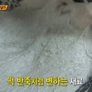 한성면옥 이미지