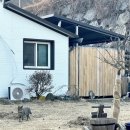 구담포레스트 이미지