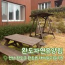 완도읍-11 | [내돈내산] 완도자연휴양림 동백나무동 1박 후기 | 완도 여행 대가족 숙소