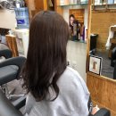 바네스헤어 이미지