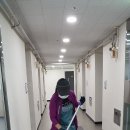 대성식물병원 이미지