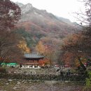 백양사한의원 이미지