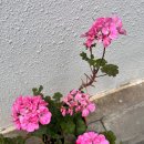 (주)온들에 이미지