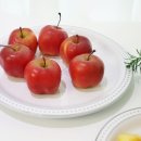 참좋은몰 이미지