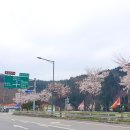 벨라마레 이미지