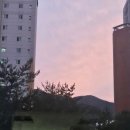 6월 일상💙 | 원더랜드후기 | 여름준비 | 삼송꾼만두 | 영덕포항여행 | 삼겹살덮밥 | 샐러드파스타
