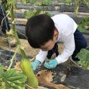 도림농장 이미지