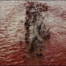 공간변형 이미지