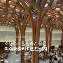 나인레빗